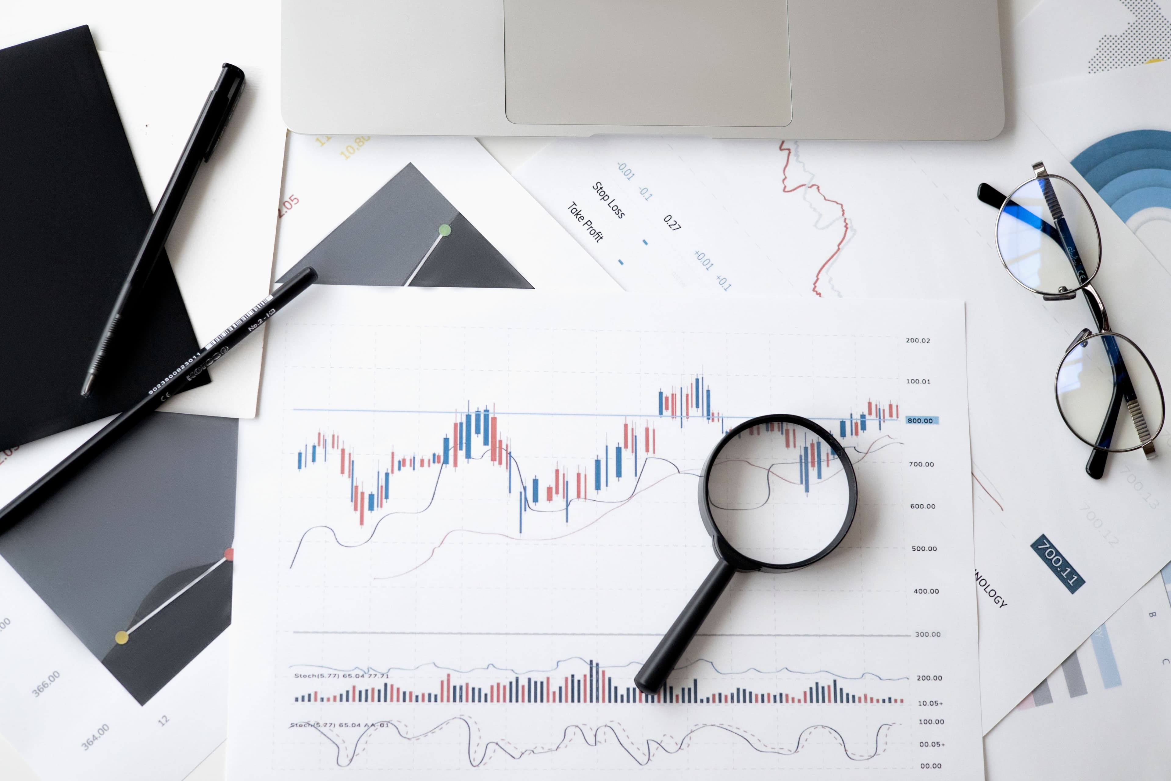Tally with GST accounting course